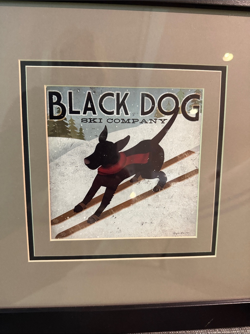 Black Dog Framed Art Print